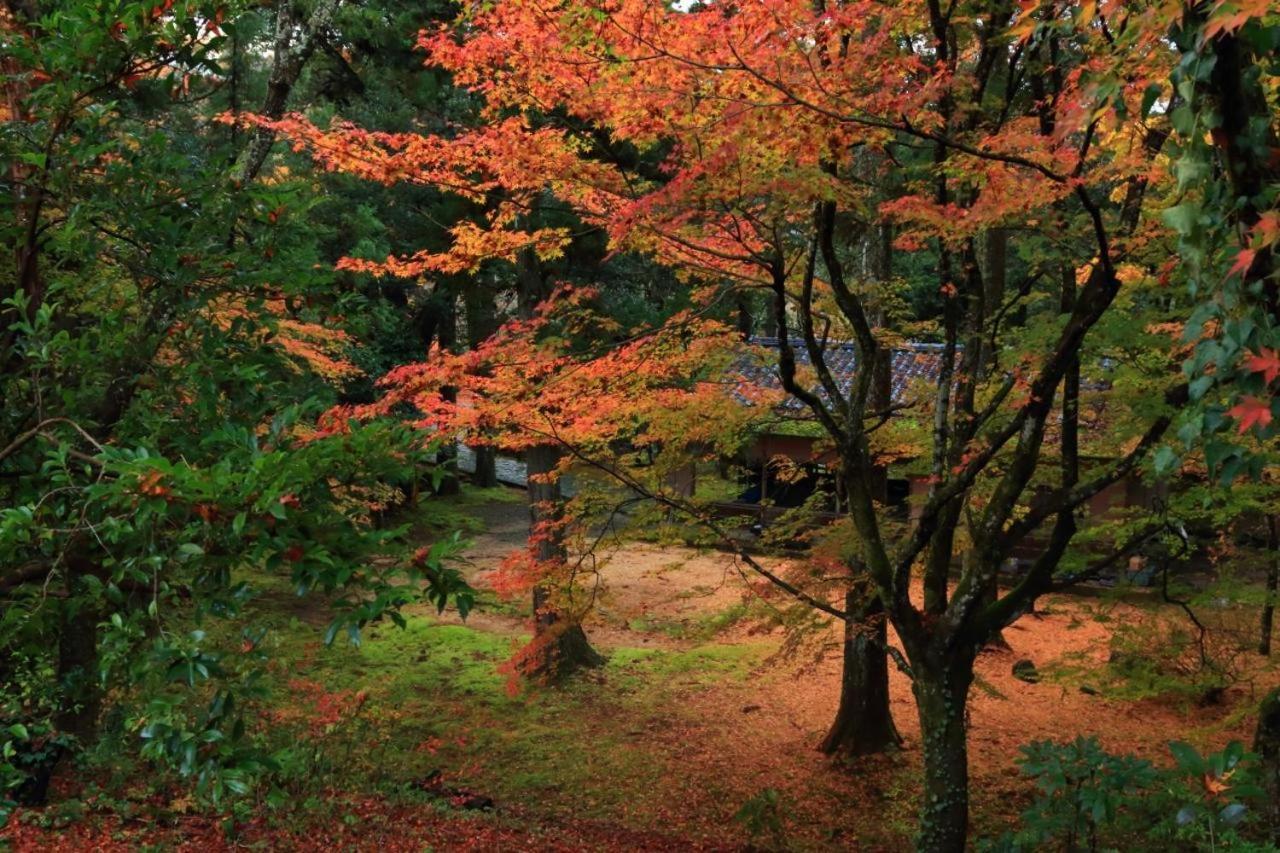 Kanazawa Machiya Inn Hana Exteriör bild